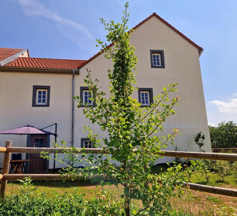 Ferienhaus "Entenhaus" Im Gutshaus De La Fontaine Feilsdorf Екстериор снимка